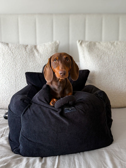 Signature Cosy Travel Bed Velvet noir