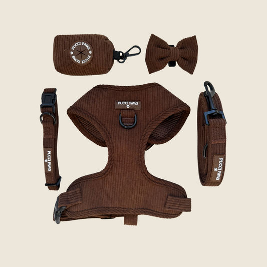 Cocoa Bean 5 Piece Walking Set
