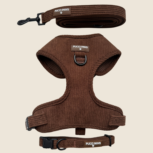 Cocoa Bean 3 piece Walking Set