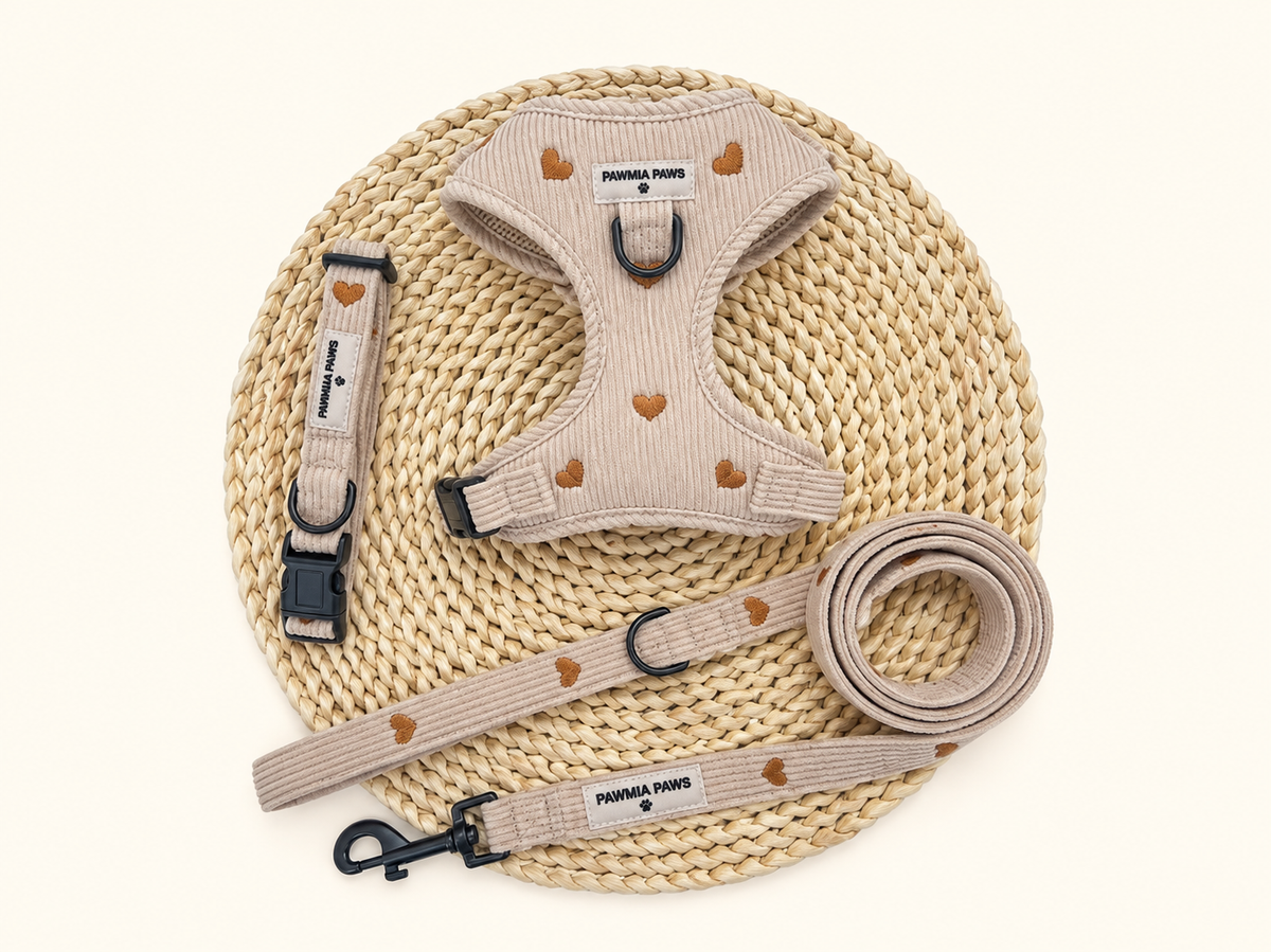 Little Loves 3 Piece Walking set