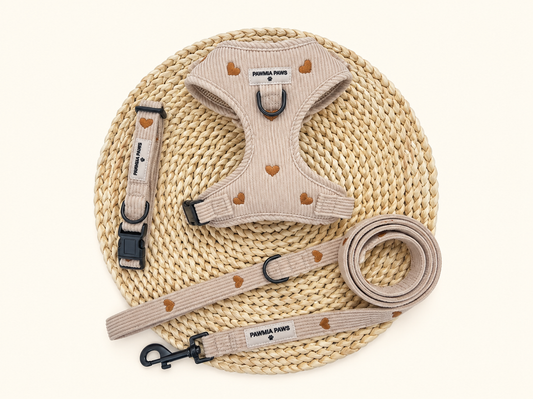 Little Loves 3 Piece Walking set