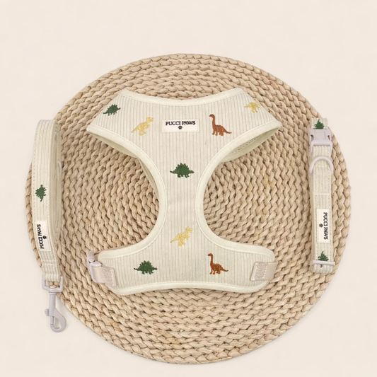Dinosaur Daze 3 Piece Walking Set