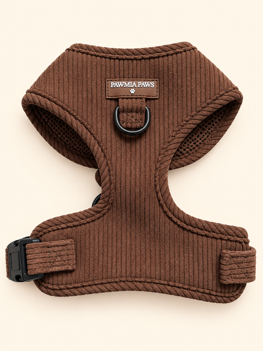 Cocoa Bean Harness