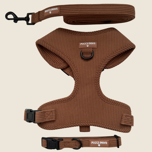Hazelnut Haze 5 Piece Walking Set