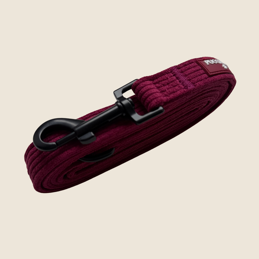 Berry Bramble Lead