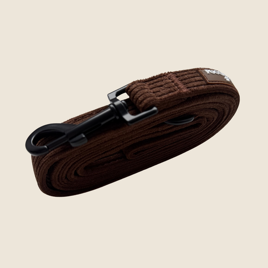 Cocoa Bean Lead