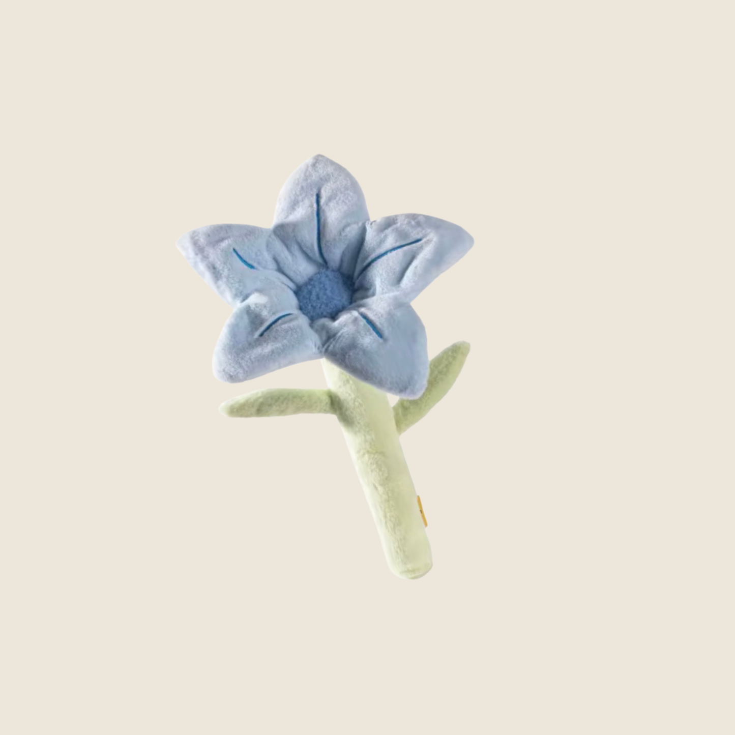 Wildflower Blooms