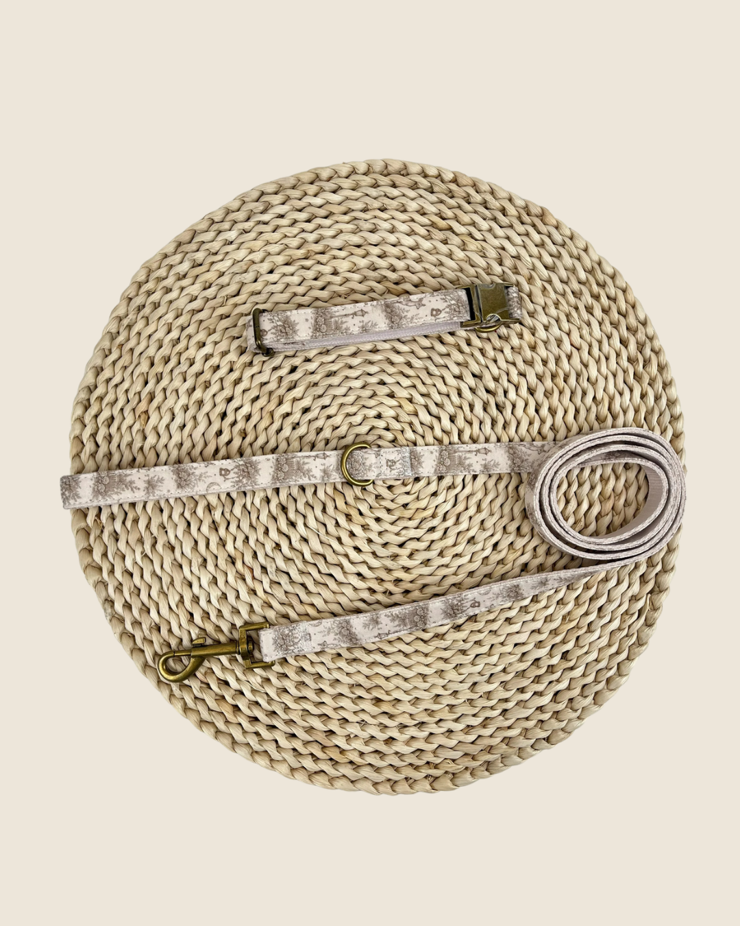 Once Upon a Walk Collar