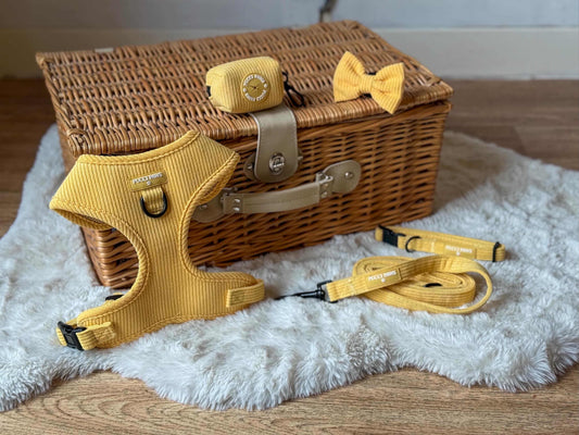 Custard Cream 5 Piece Walking Set