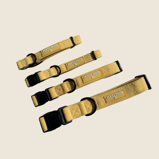 Custard Cream Collar