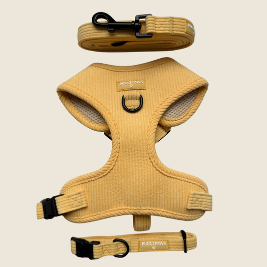 Custard Cream 3 Piece Walking Set