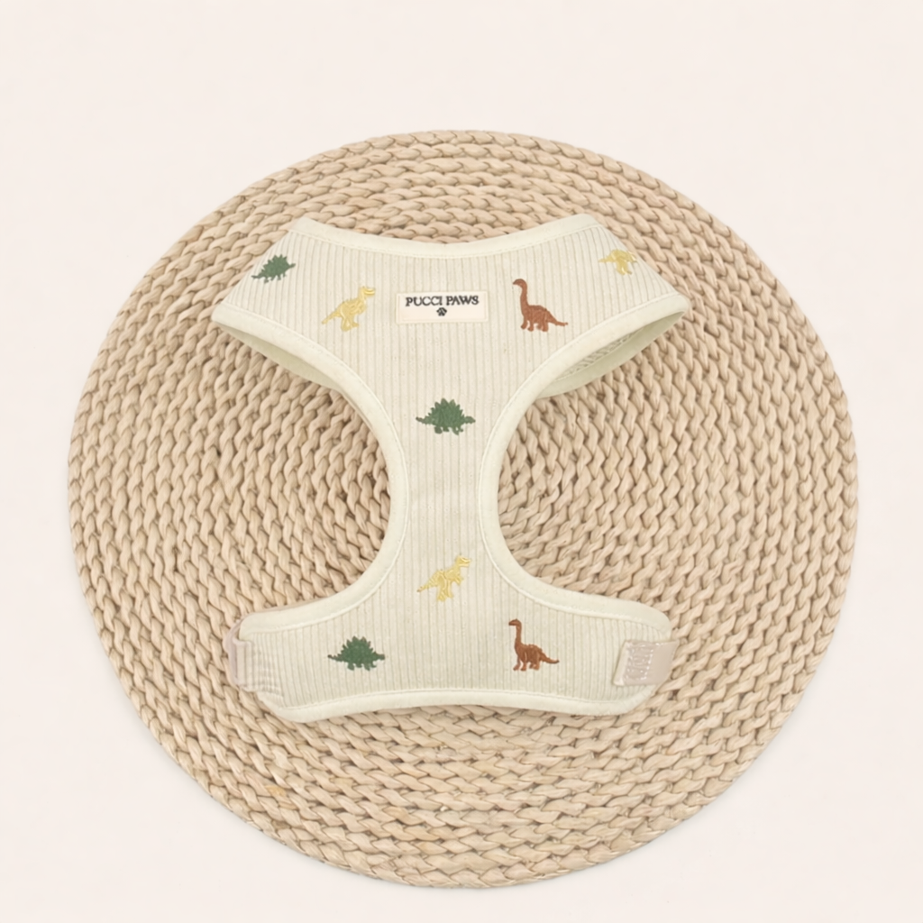 Dinosaur Daze Harness