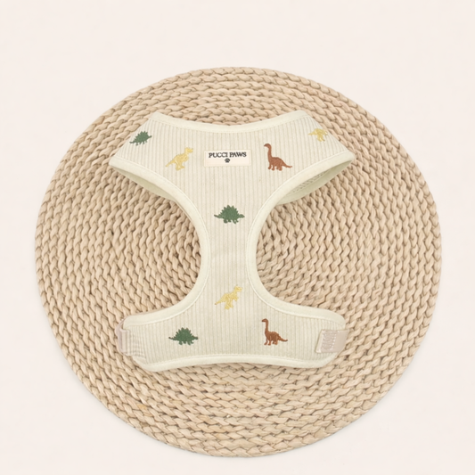 Dinosaur Daze Harness
