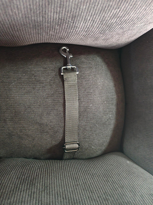 Travel Carry Bed Velvet Noir