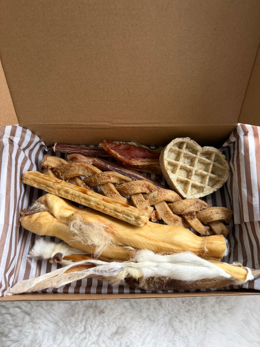The Gnaw Box