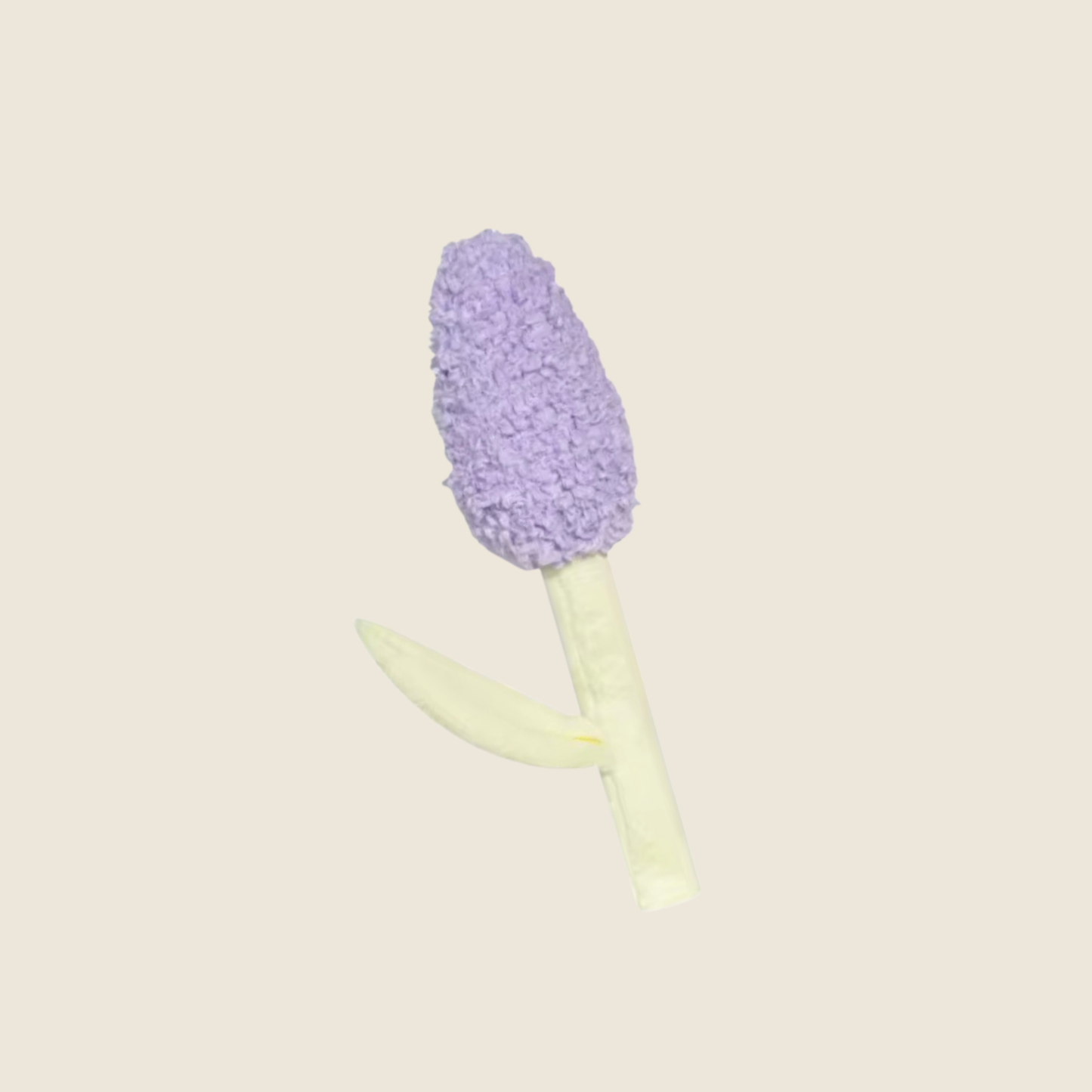 Wildflower Blooms
