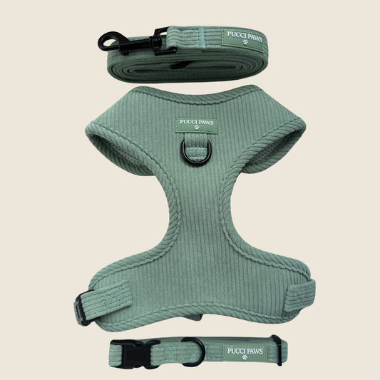Misty Mint 5 Piece Walking Set