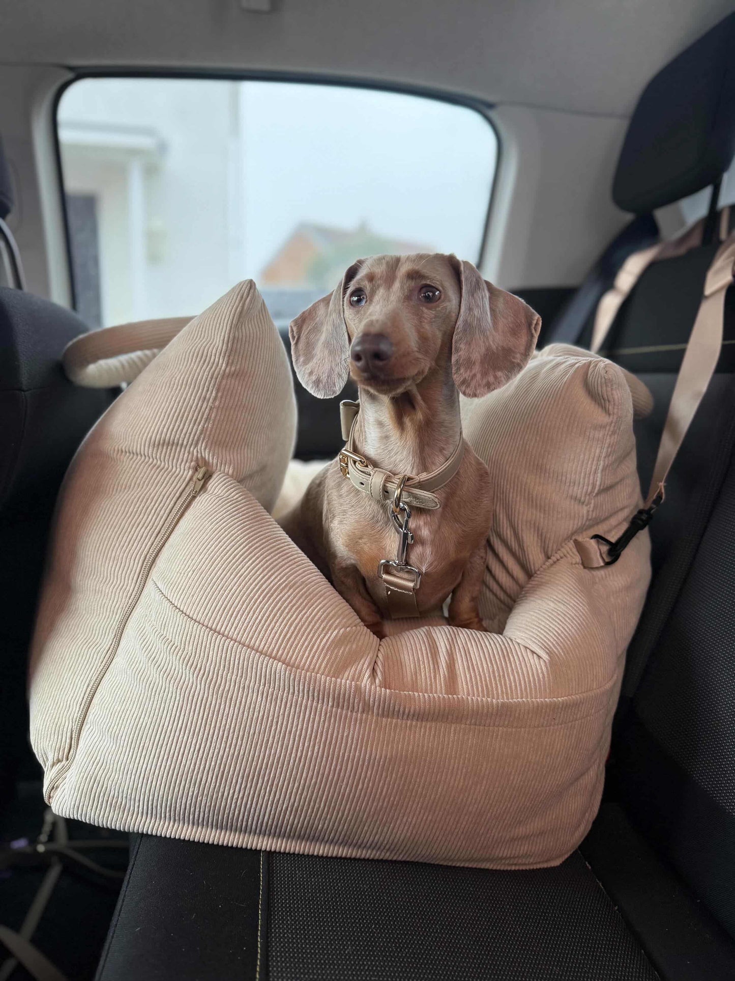 Signature Travel Bed Almond Dream