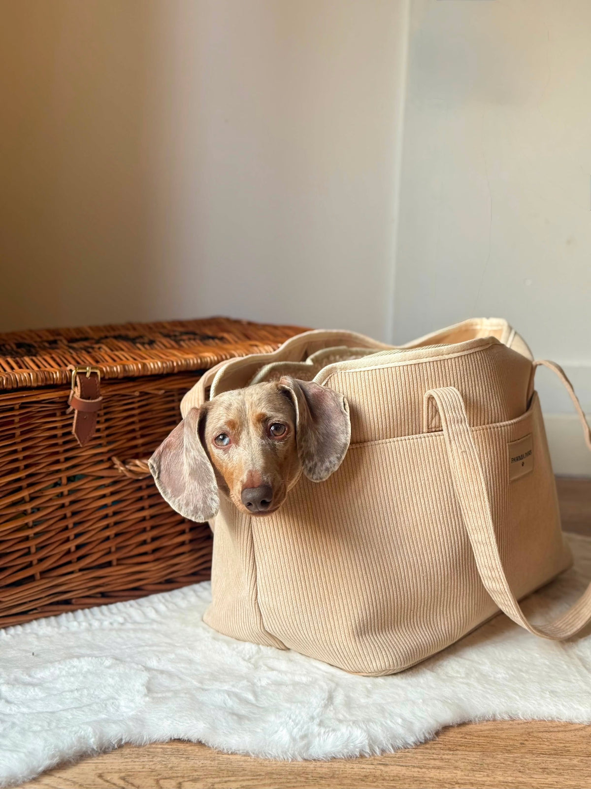 The Cosy Carry ™ Dog Carrier