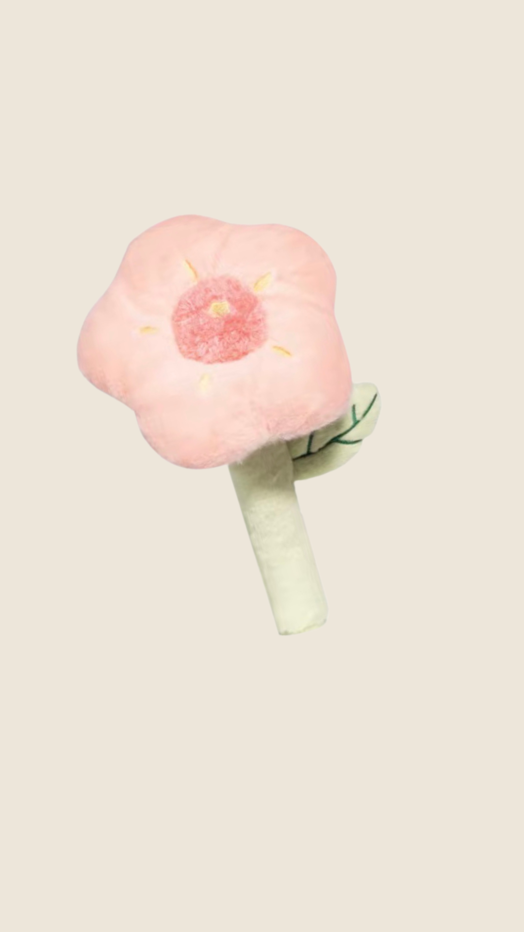 Wildflower Blooms
