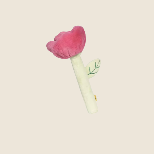 Wildflower Blooms